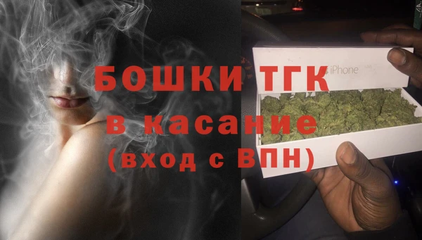 амф Богородицк