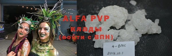 ГАЛЛЮЦИНОГЕННЫЕ ГРИБЫ Пестово