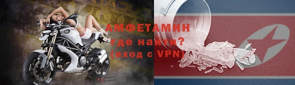 СК Пересвет