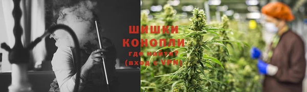 СК Пересвет