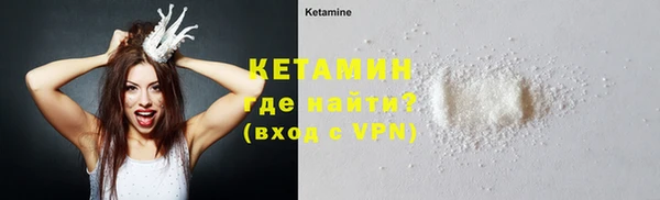 СК Пересвет
