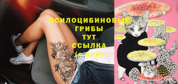 ГАЛЛЮЦИНОГЕННЫЕ ГРИБЫ Пестово