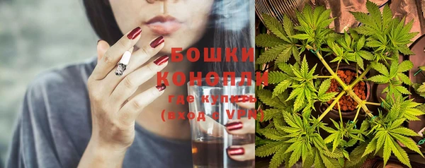 дурь Переславль-Залесский