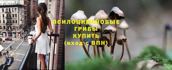 трава Осташков