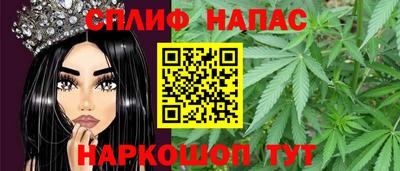 молекула духа Пенза