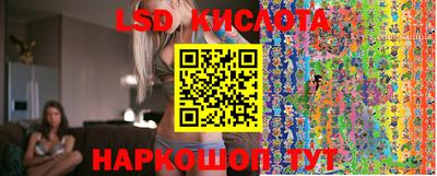 гидра Славгород